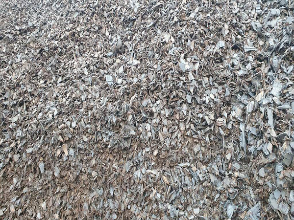 Toy car exploring offroad.